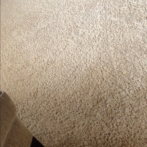 Meet your Posher, Jake - Picture 1 of 1